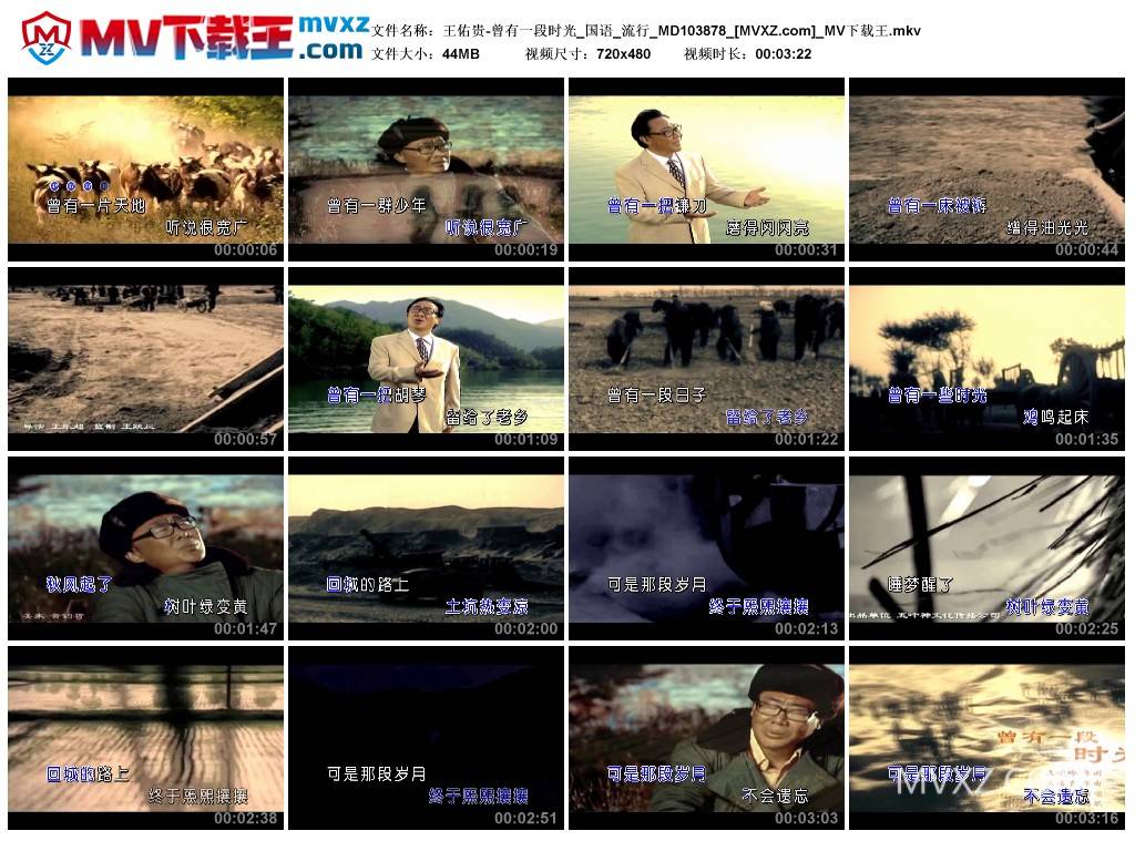 王佑贵-曾有一段时光_国语_流行_MD103878